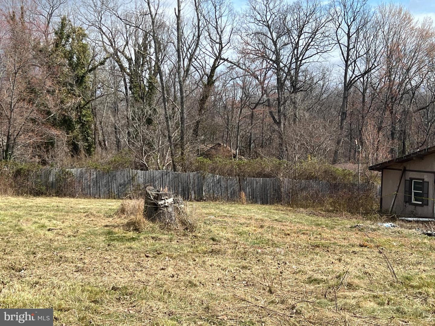 704 Western Lane photo 4
