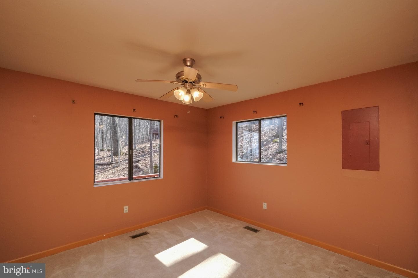 59 Alpine Drive photo 42