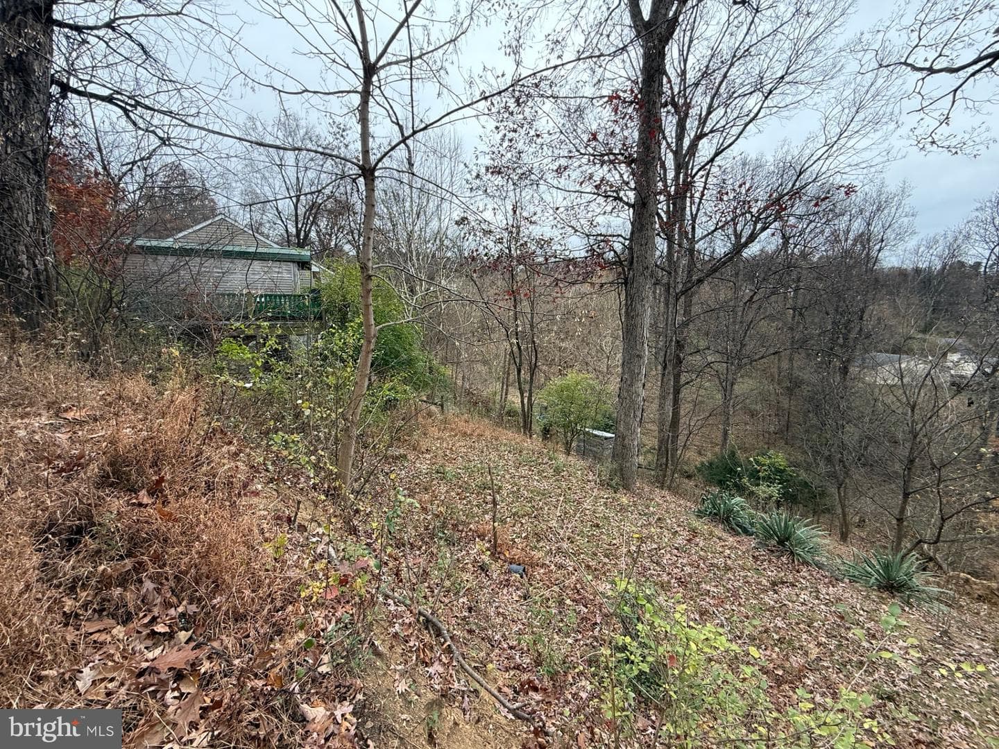 521 Northern Spy Drive photo 25