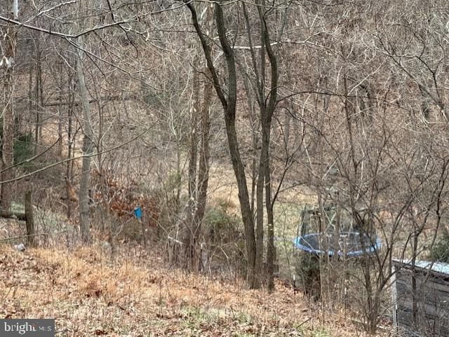 521 Northern Spy Drive photo 34