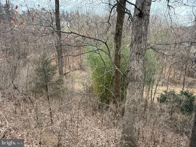 521 Northern Spy Drive photo 37