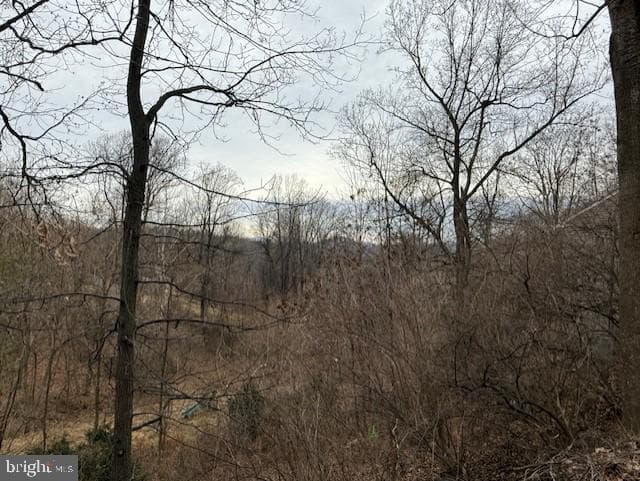 521 Northern Spy Drive photo 38