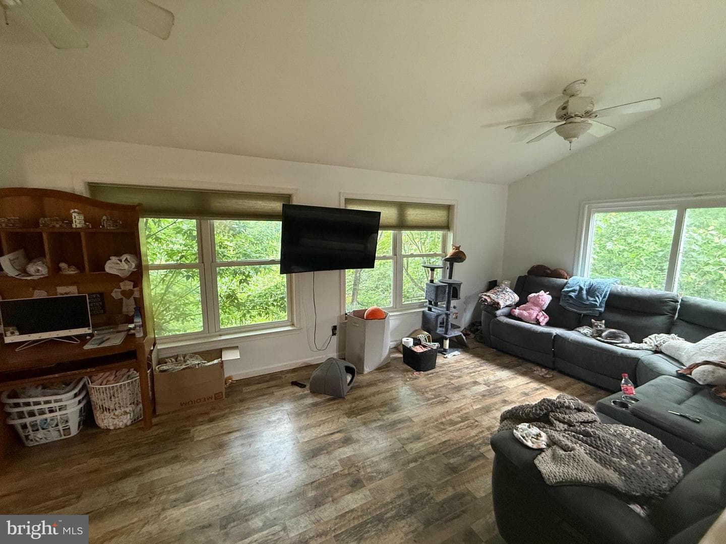 521 Northern Spy Drive photo 43