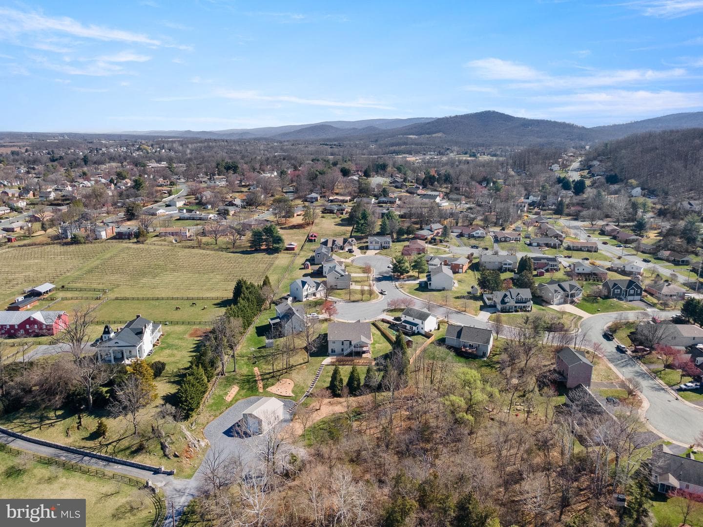 201 Peach Tree Court photo 42