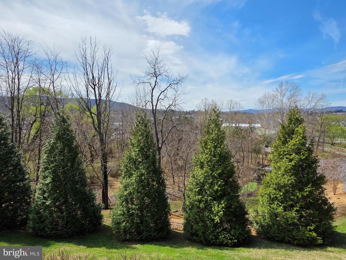 201 Peach Tree Court photo 47