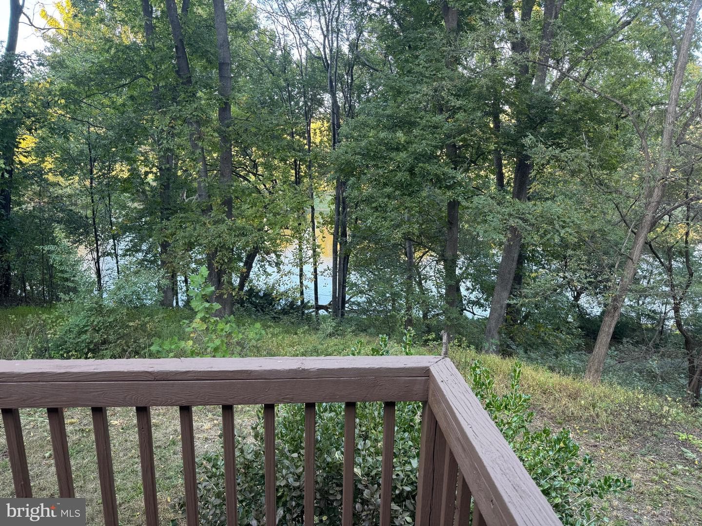 272 Juniper Drive photo 19