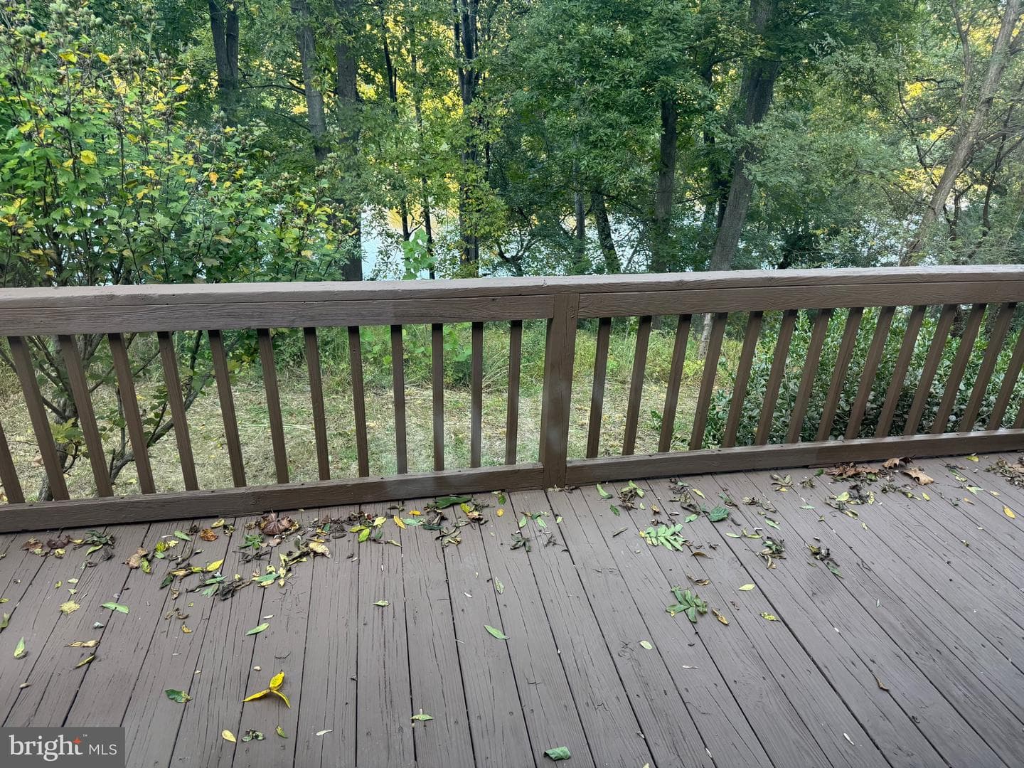 272 Juniper Drive photo 20