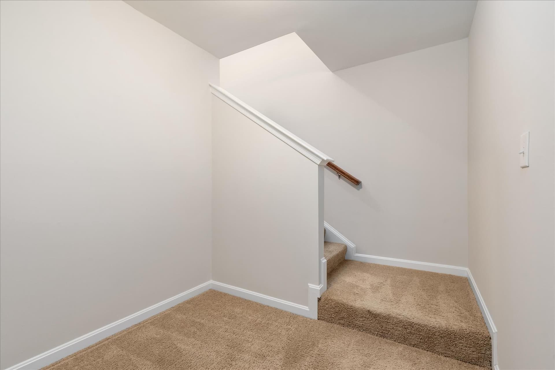 48 Hickory Shaft Court photo 25