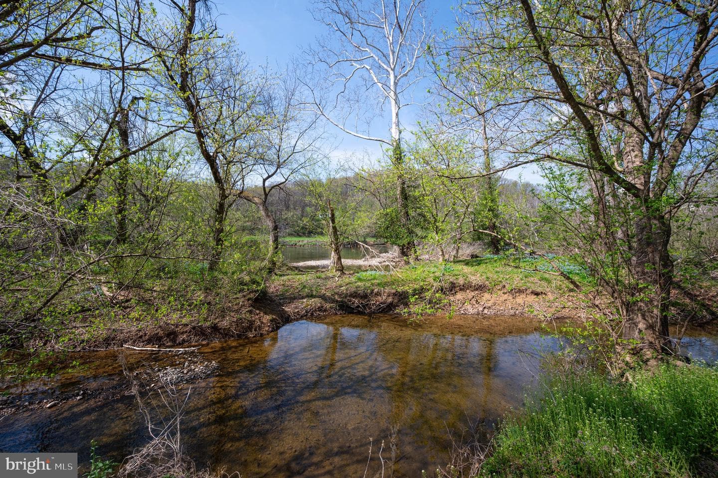 400 Deer Run Circle photo 108