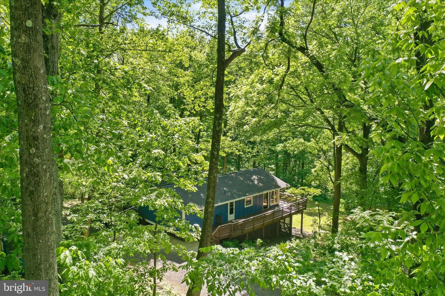 49 Wild Cherry Way photo 49