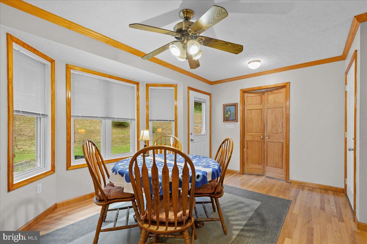 906 Cauthorn Mill Drive photo 21