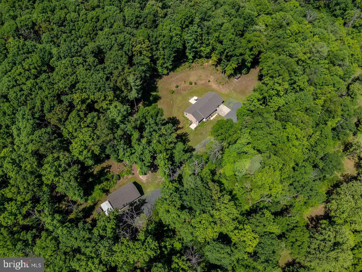 906 Cauthorn Mill Drive photo 8