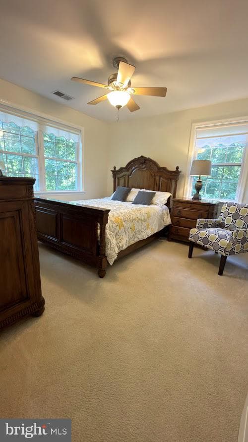 68 View Drive photo 28