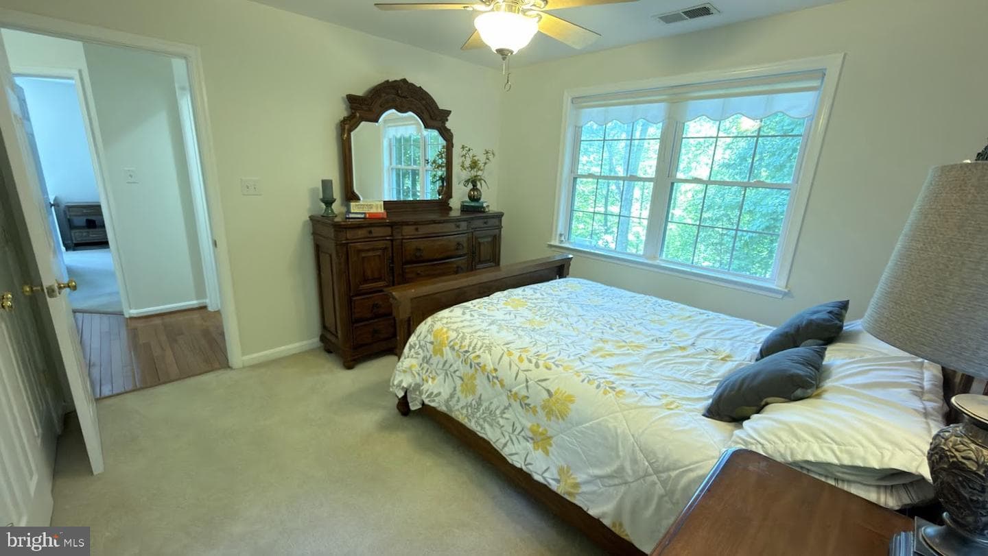68 View Drive photo 29
