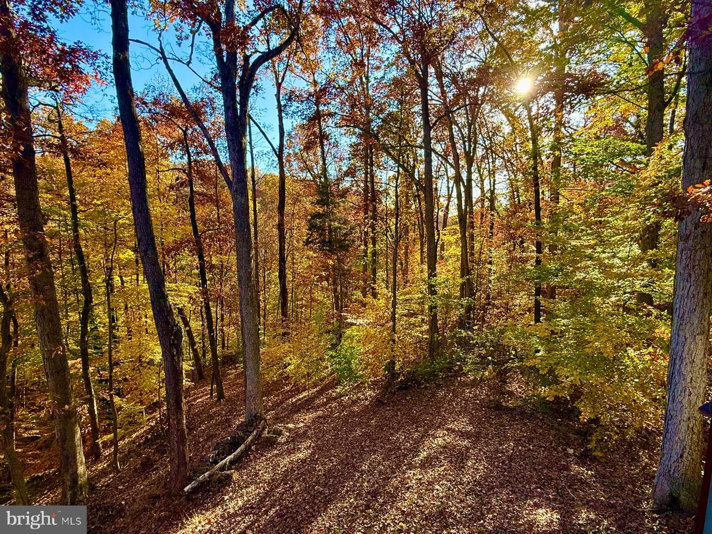 68 View Drive photo 50