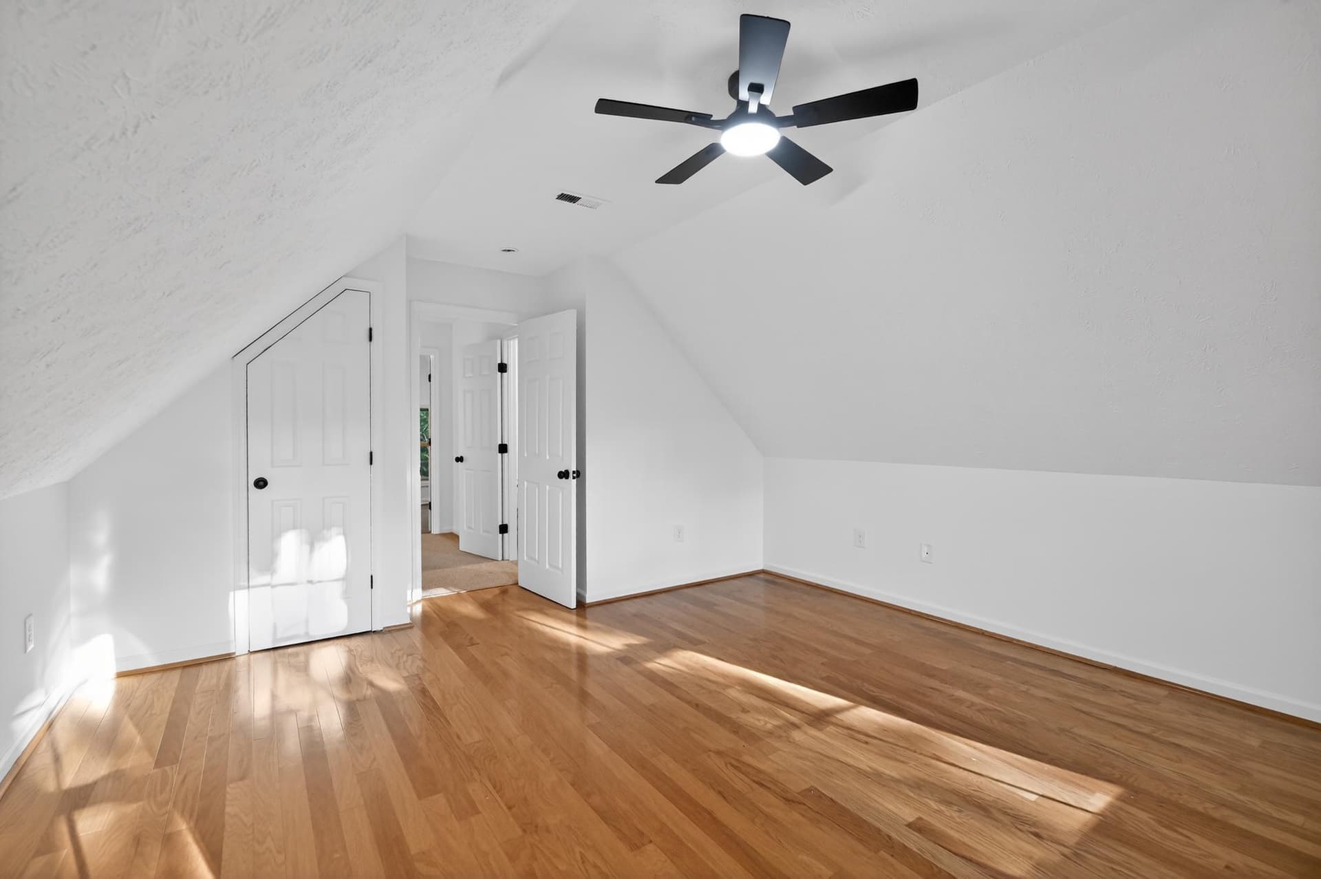 205 Alpine Drive photo 16