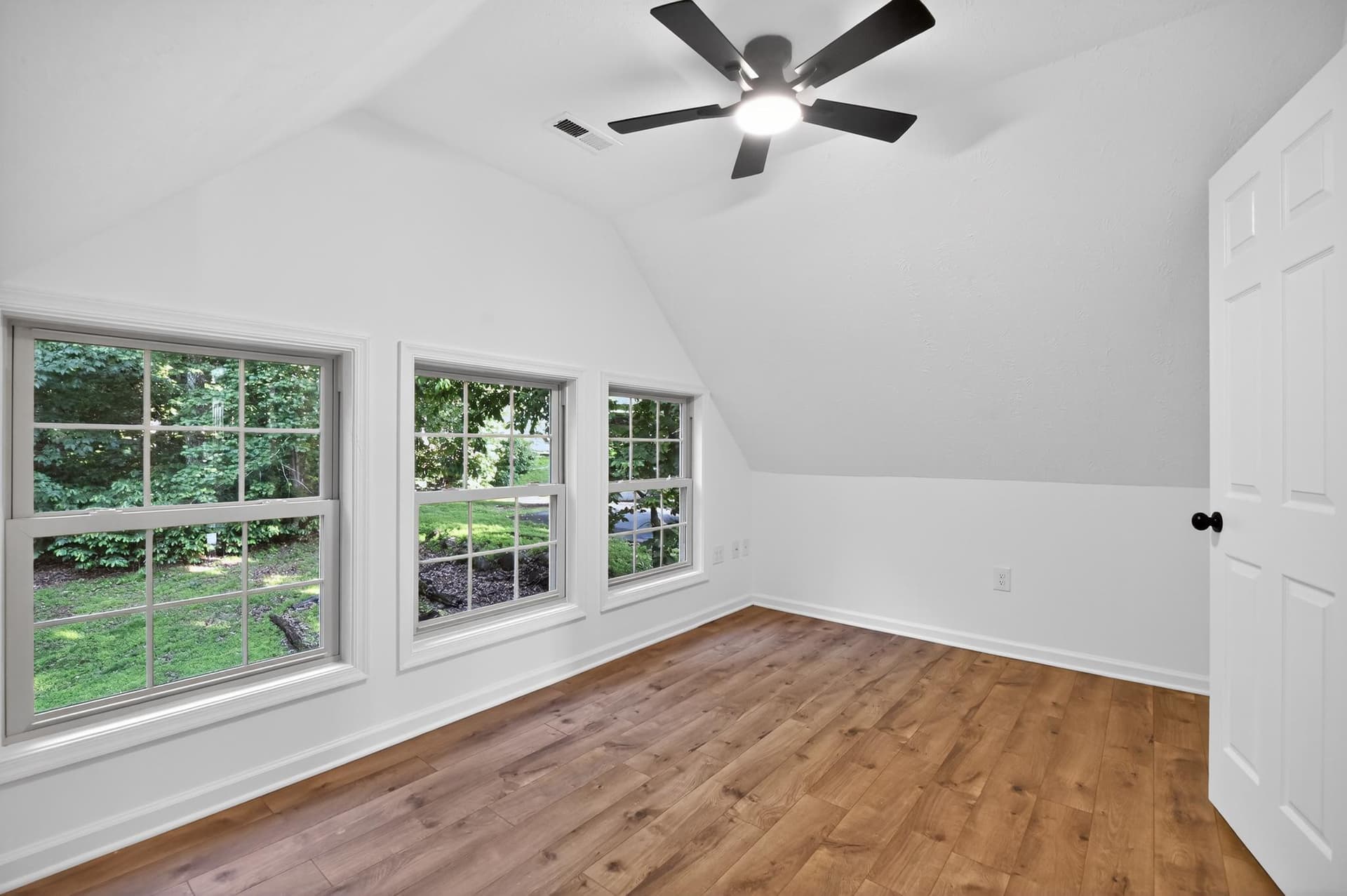 205 Alpine Drive photo 20