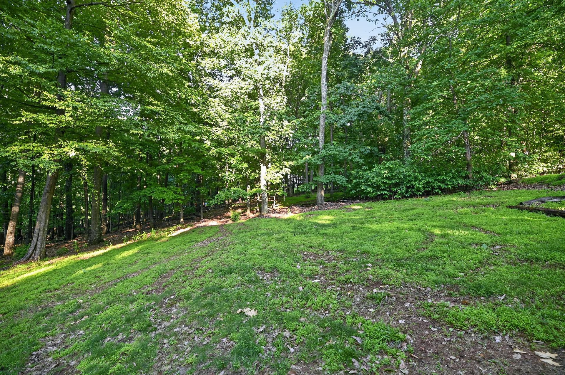 205 Alpine Drive photo 26