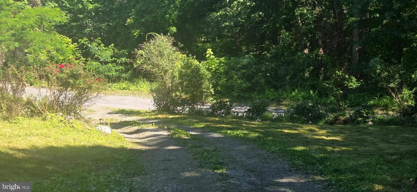 493 Goode Drive photo 10