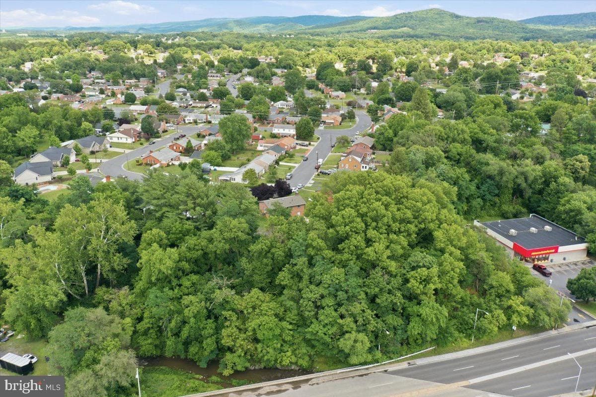 494 Hamilton Circle photo 42