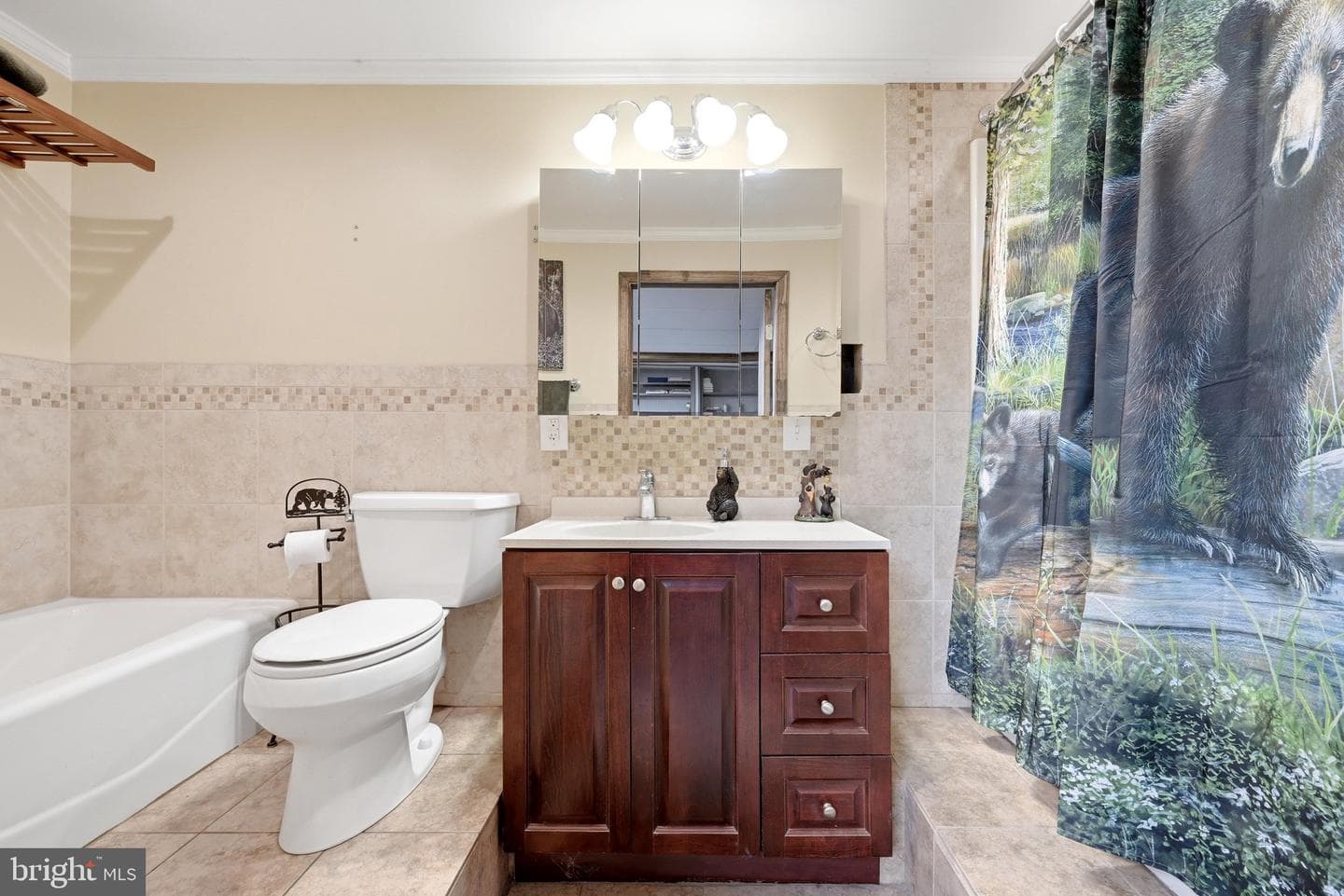 11 Ashlawn Ct photo 41