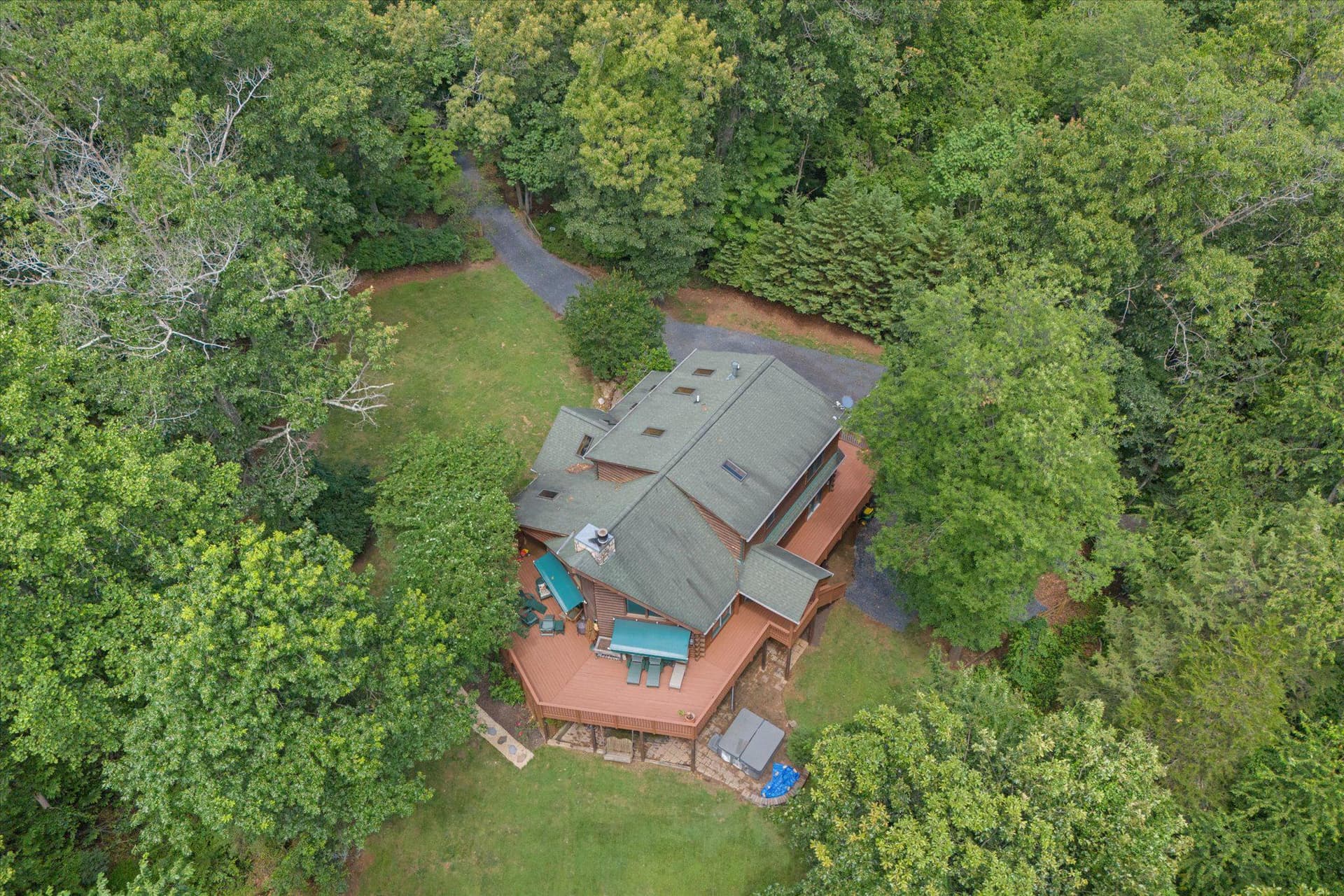 459 Windy Pines Road photo 7