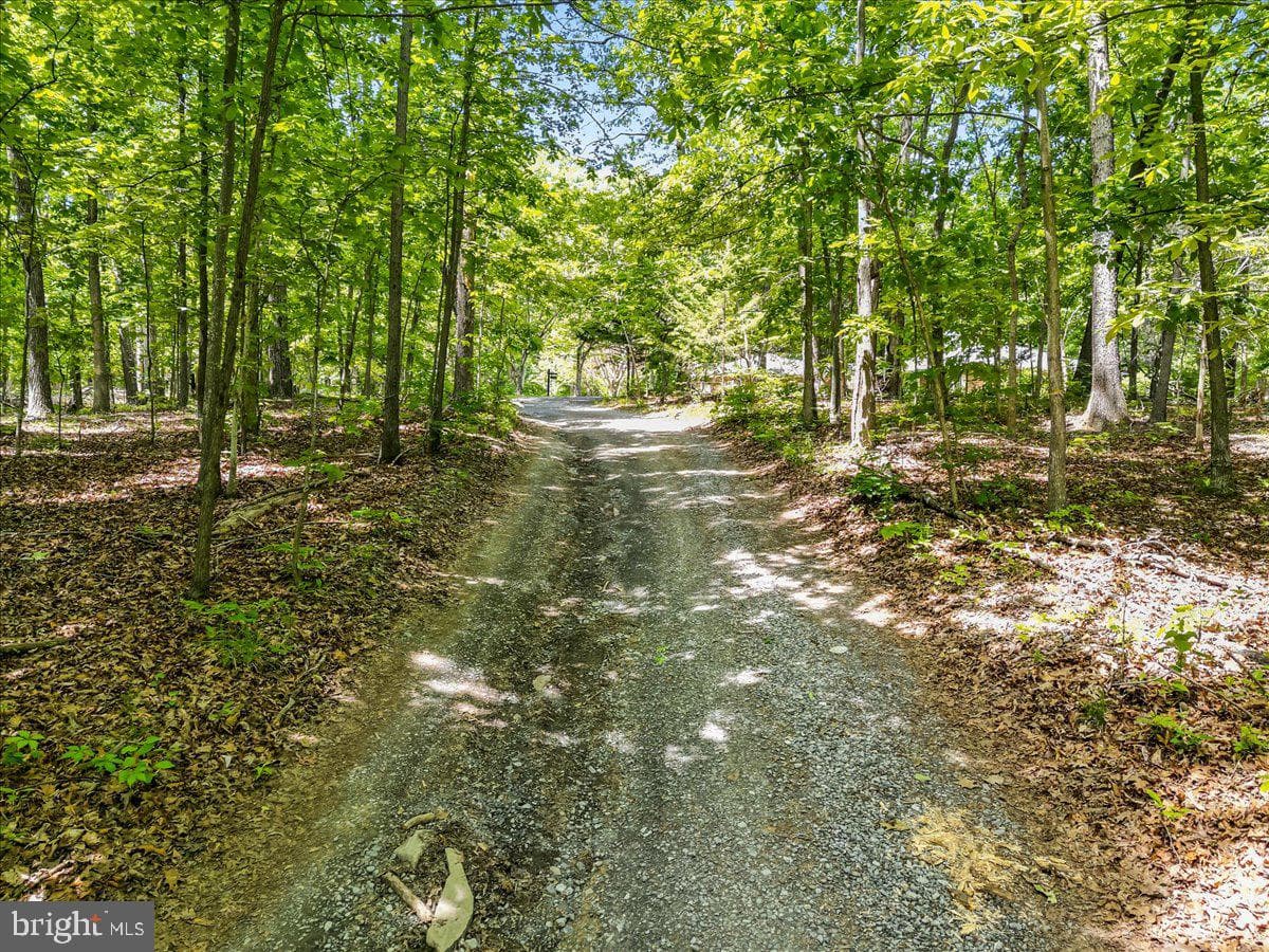 298 Mcdaniel Lane photo 45