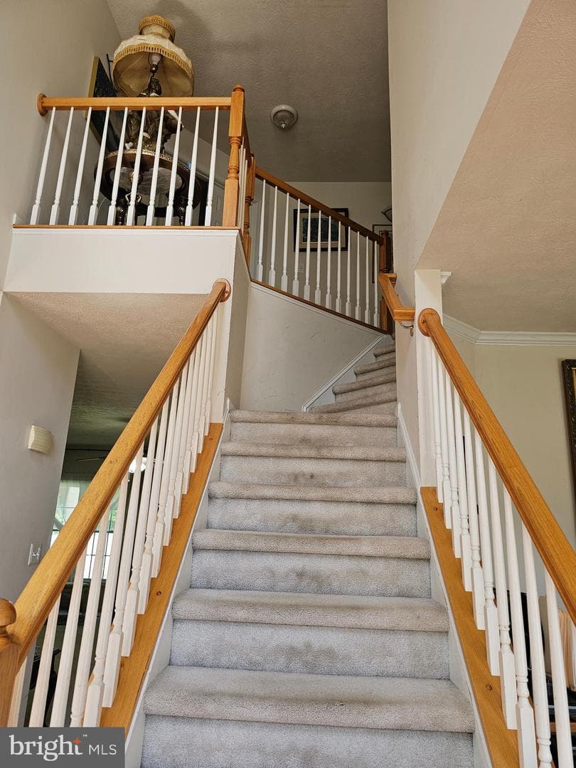 1140 Happy Ridge Drive photo 8