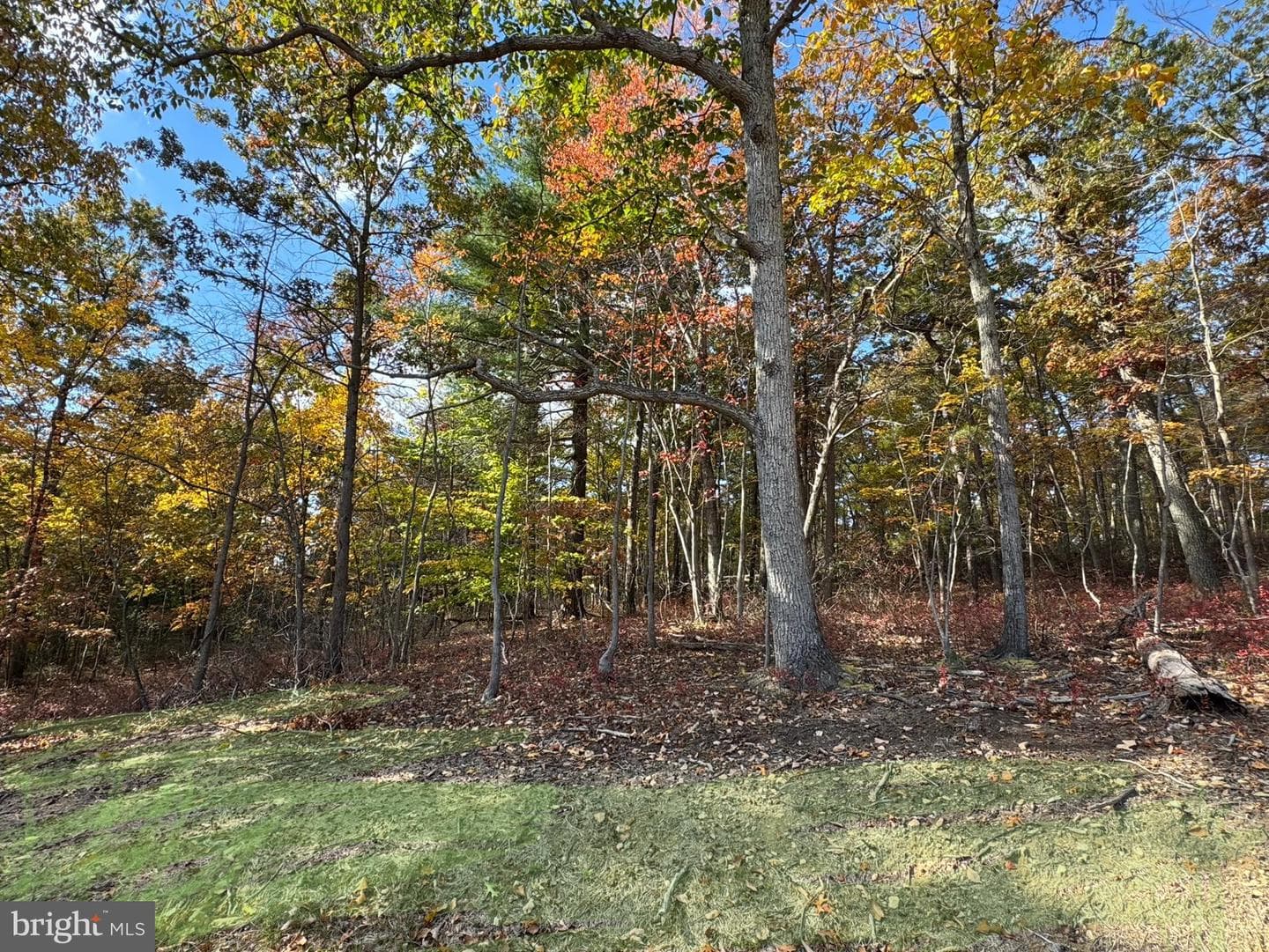 1730 High Top Road photo 34