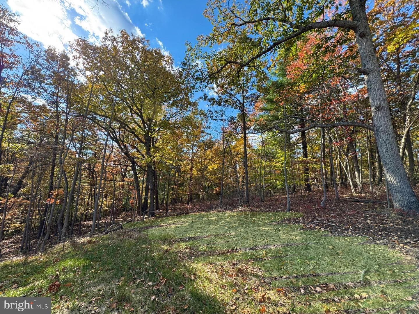 1730 High Top Road photo 35