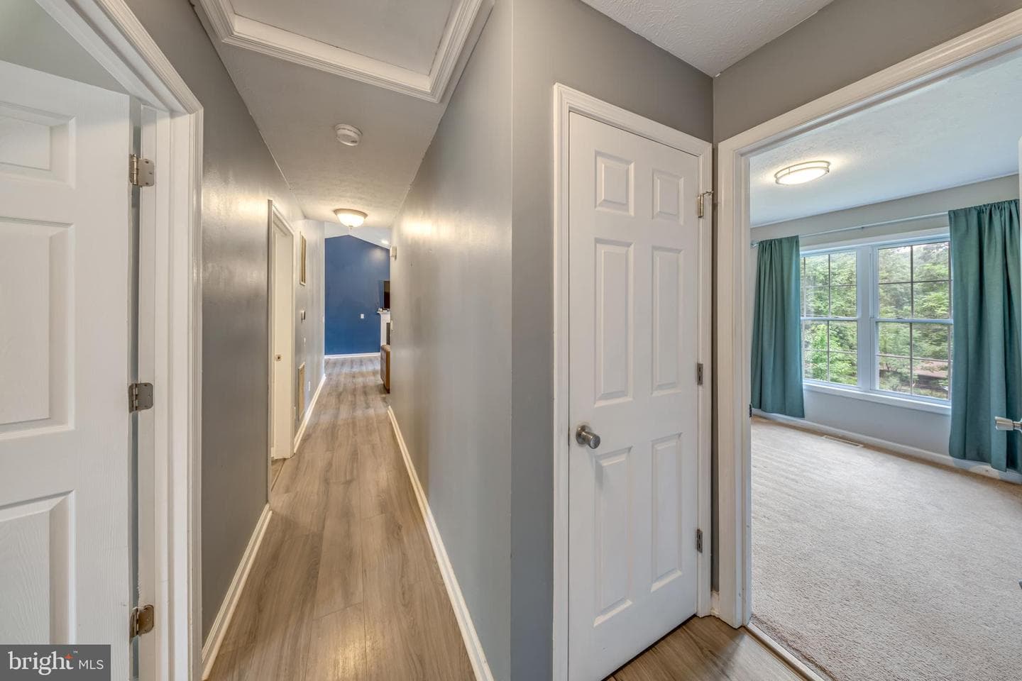 368 Freeze Road photo 10