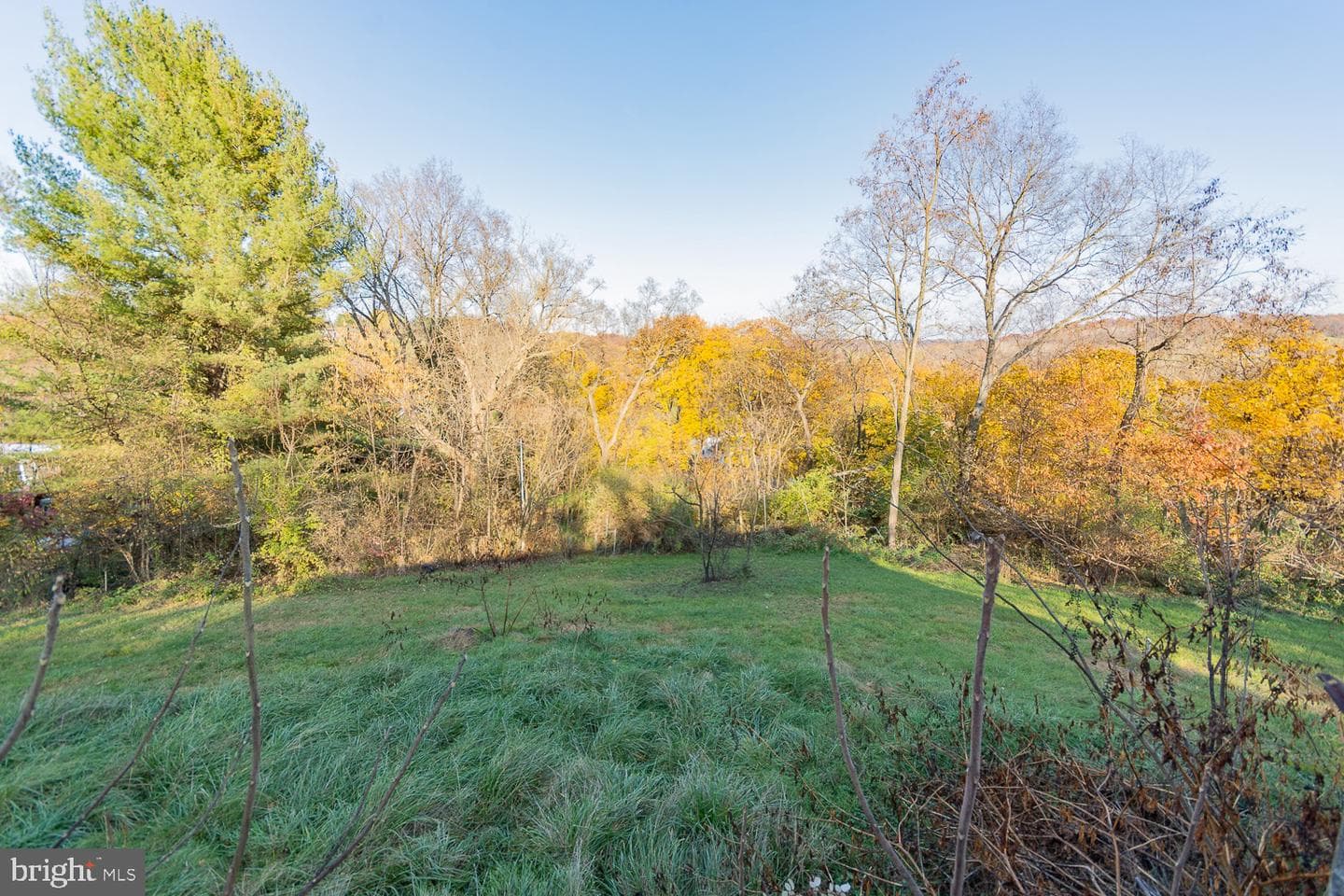119 Stehley Lane photo 18