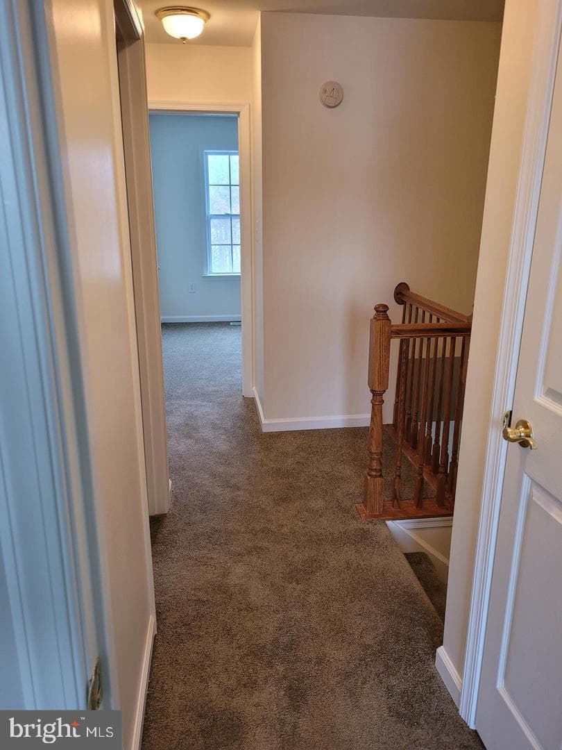 67 Babylonica Court photo 18
