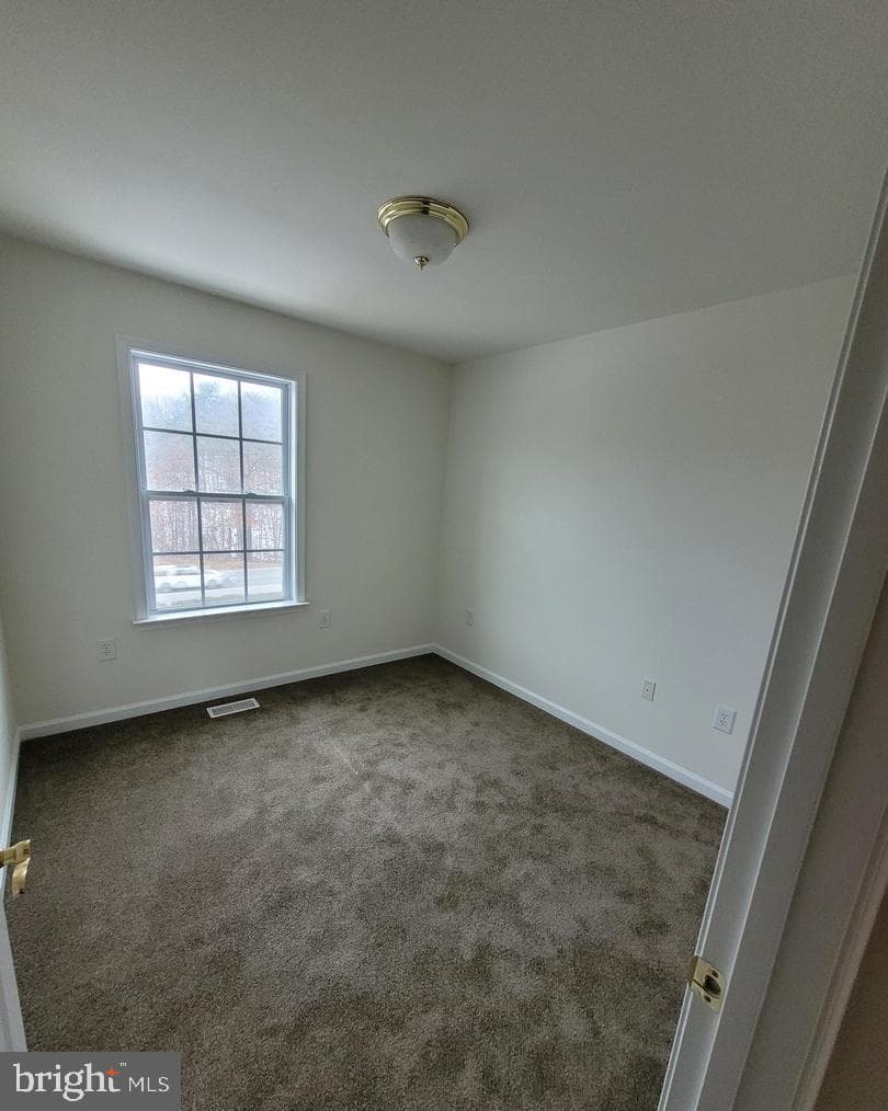 67 Babylonica Court photo 31