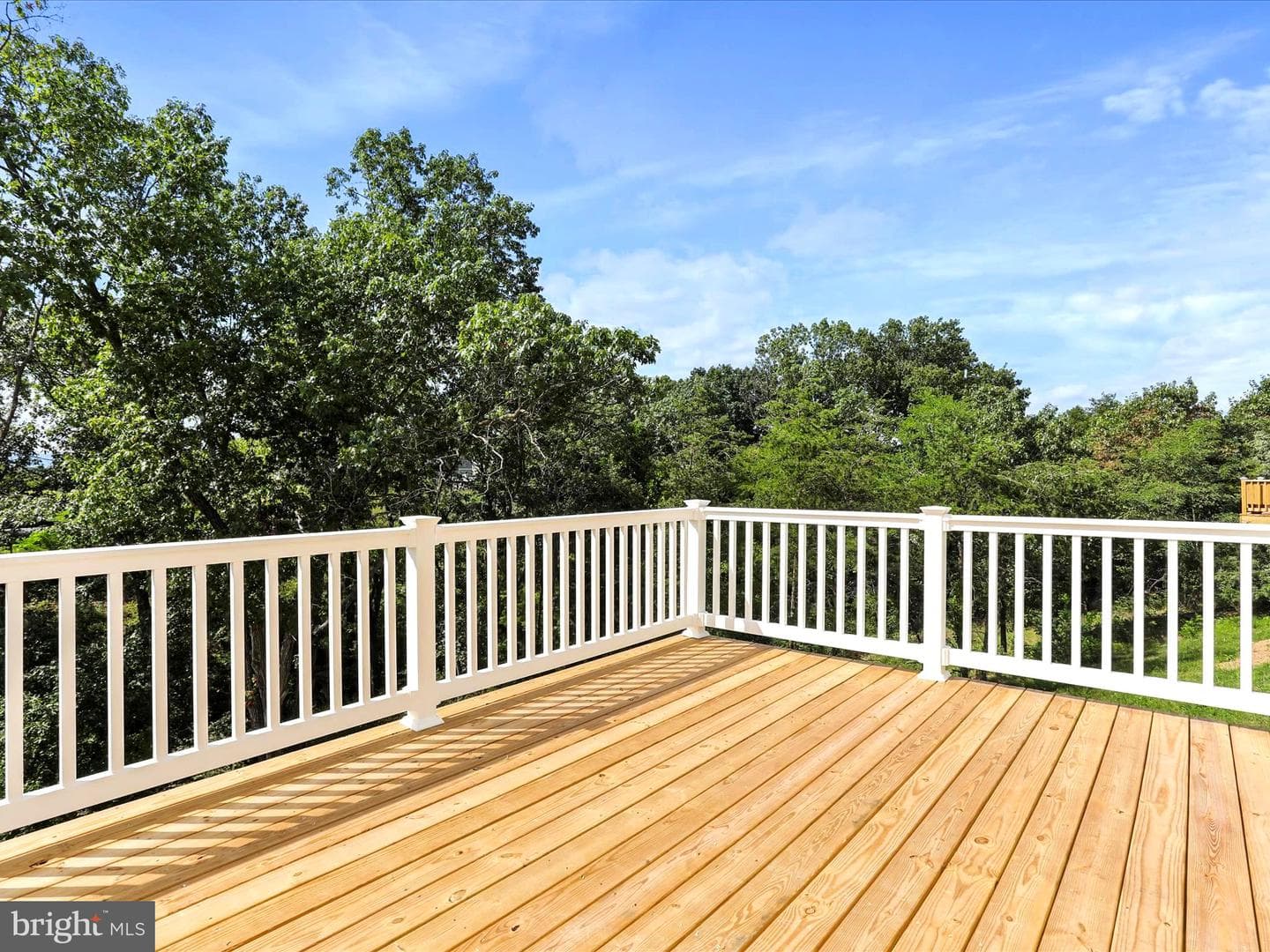 356 Europa Way photo 39