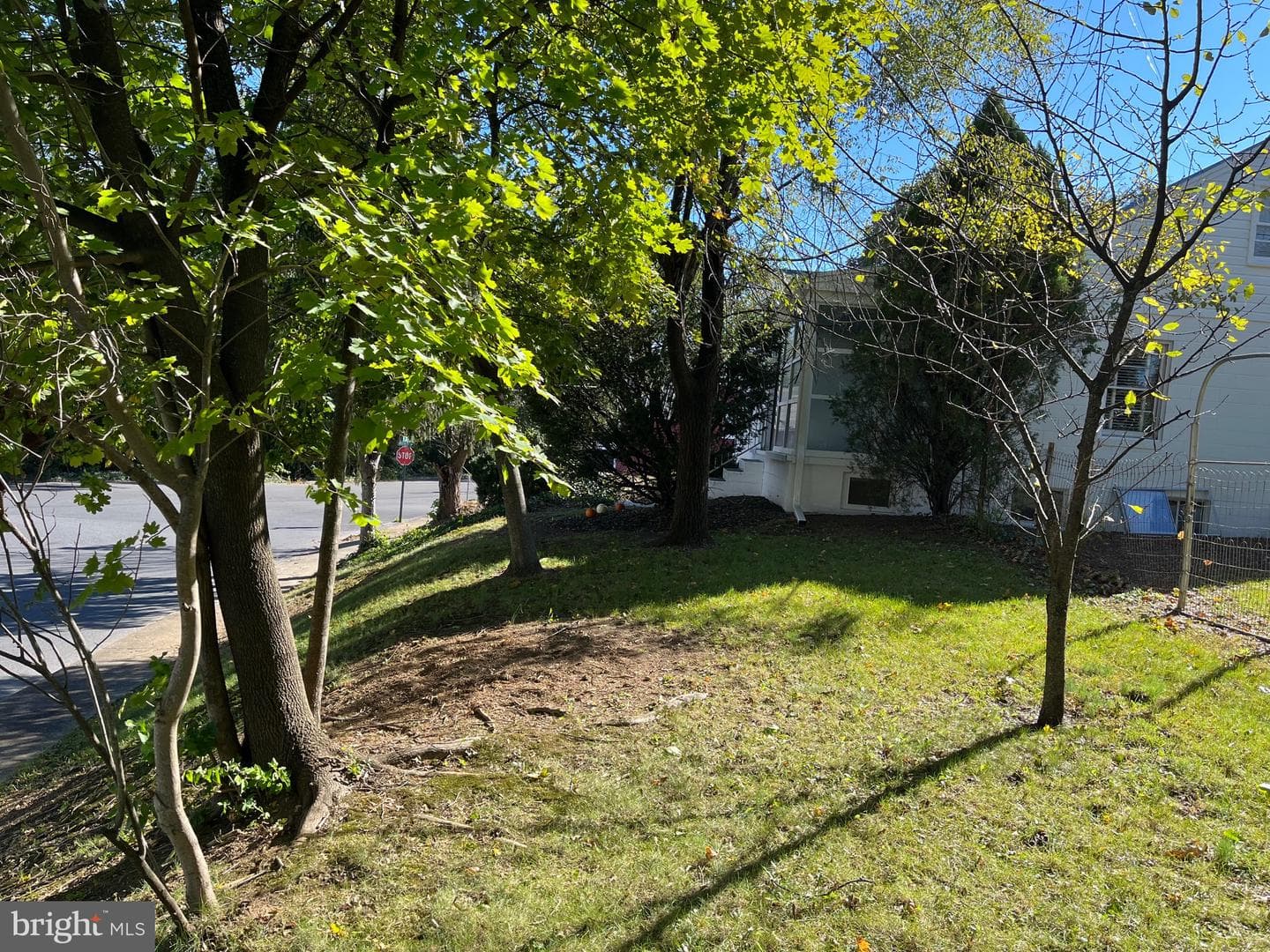 100 Fairfax Street photo 34