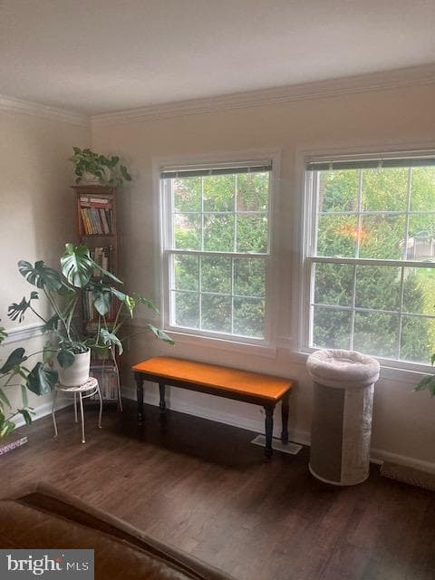 402 S Georgia Avenue photo 4