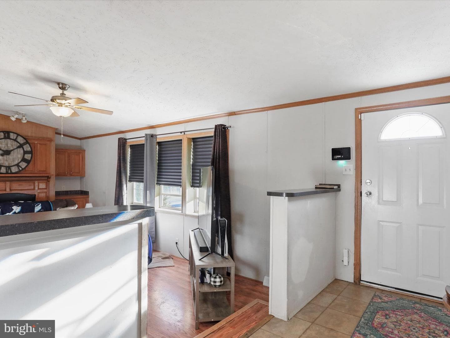 529 Royal Crest Drive photo 4