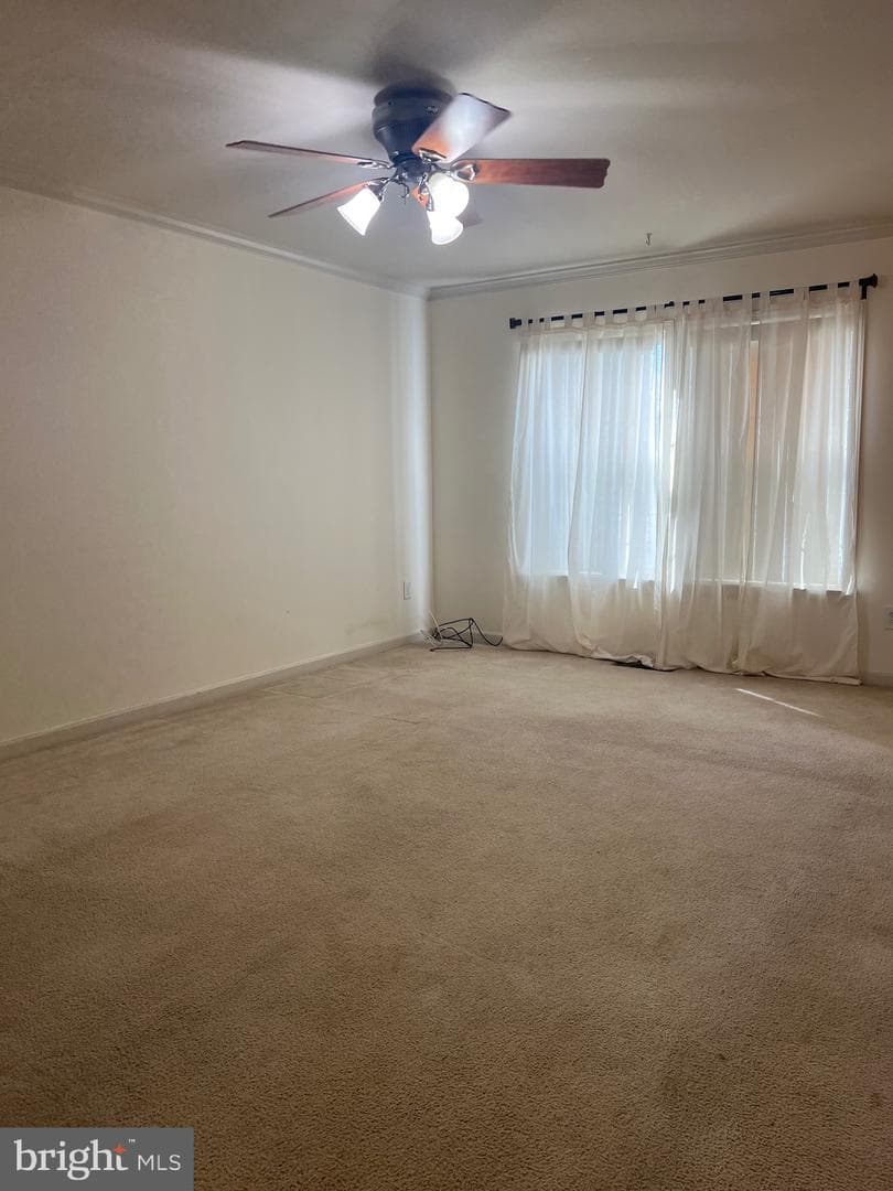 820 Marquette Drive photo 4