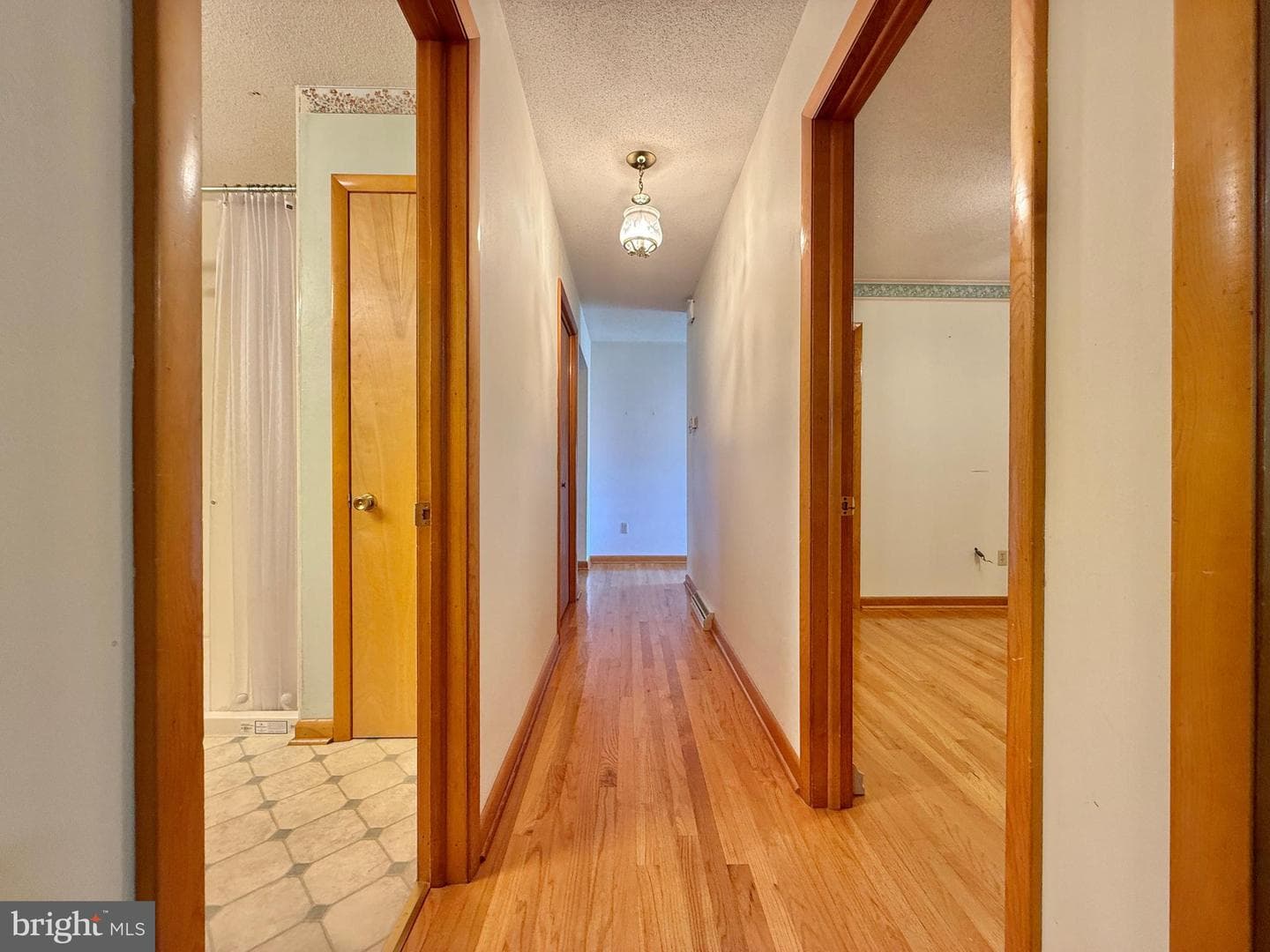 153 Collins Drive photo 38