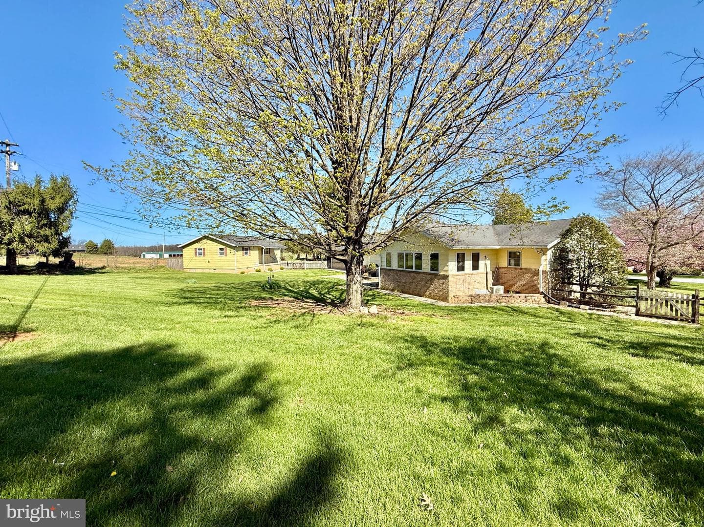 153 Collins Drive photo 81
