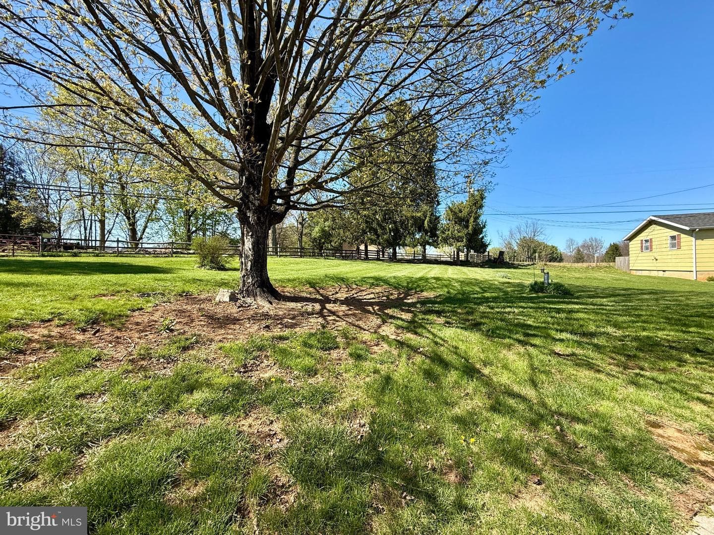 153 Collins Drive photo 88
