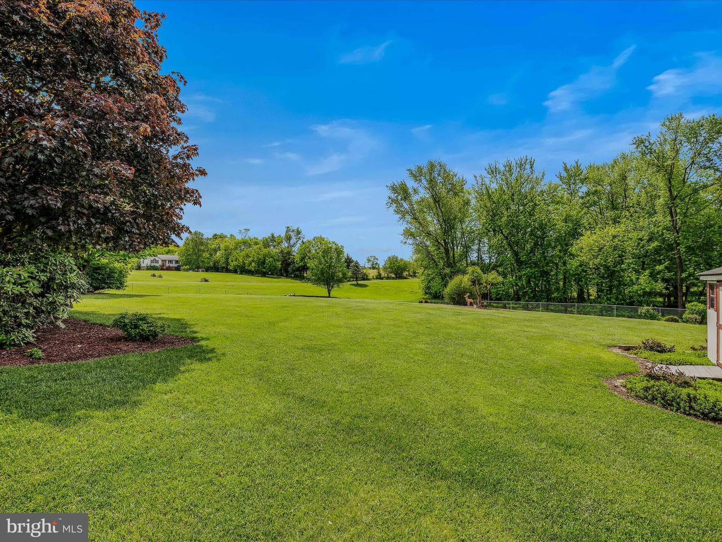 244 Jeanna Lane photo 34