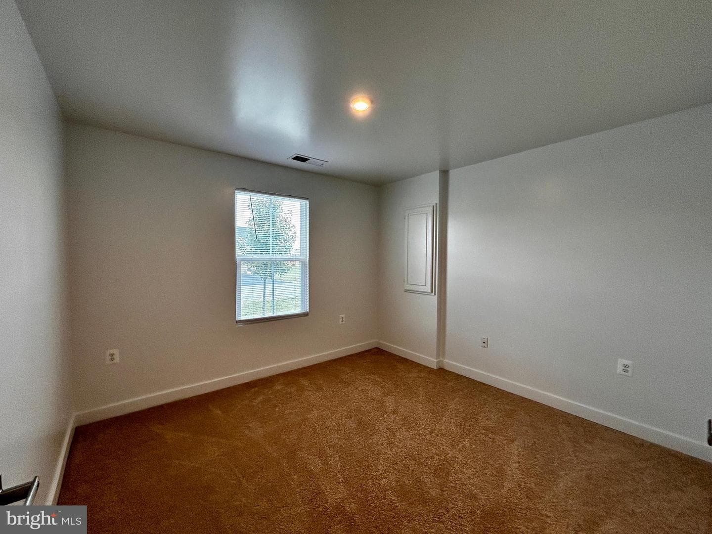96 Bindweed Court photo 17