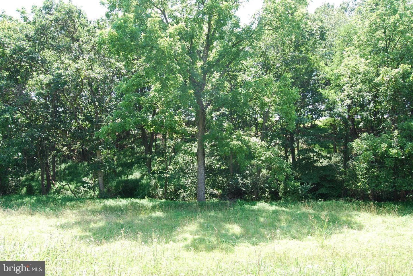 220 Stotelmyer Lane photo 47