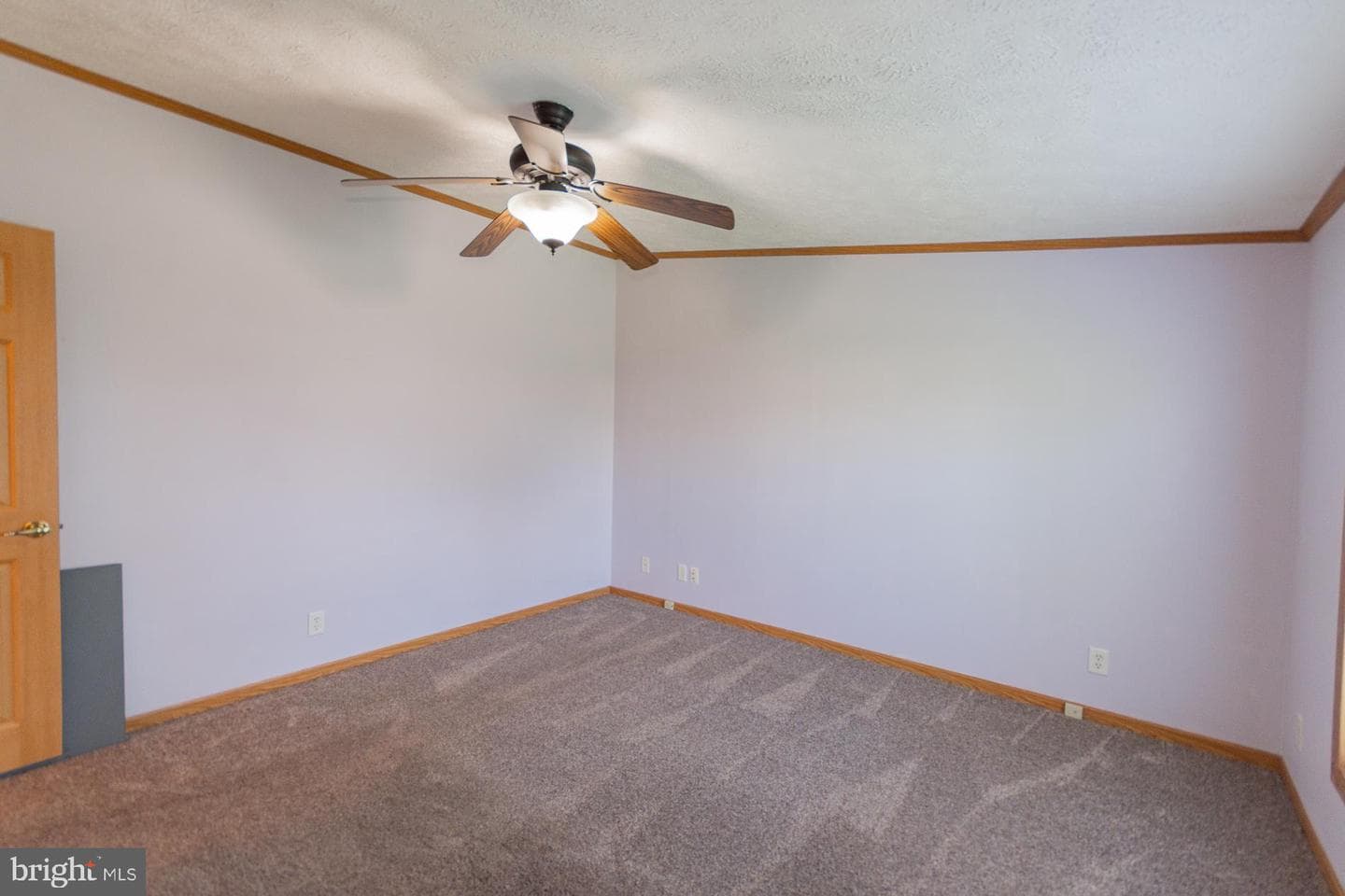43 Tather Drive photo 69