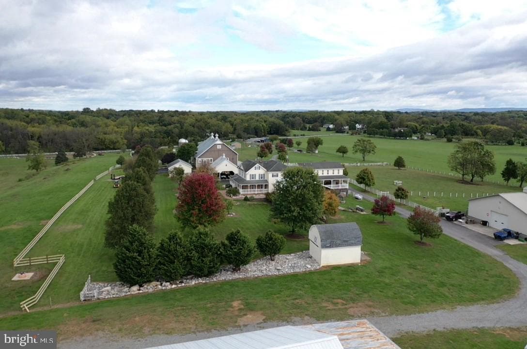 590 Carlyle Road photo 17