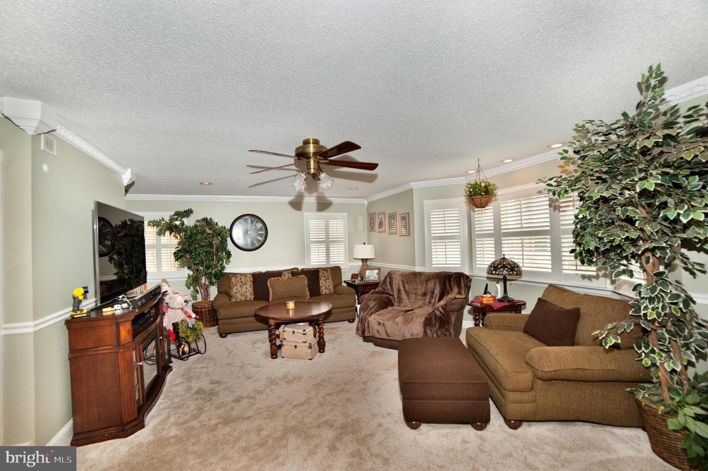590 Carlyle Road photo 47