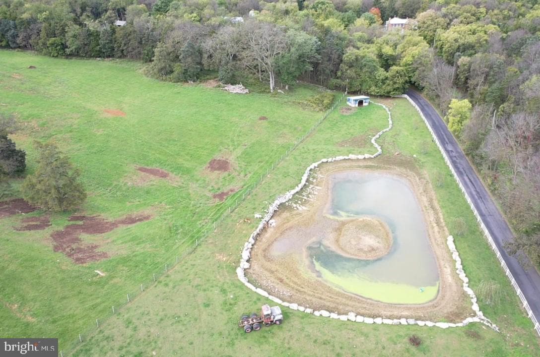 590 Carlyle Road photo 57
