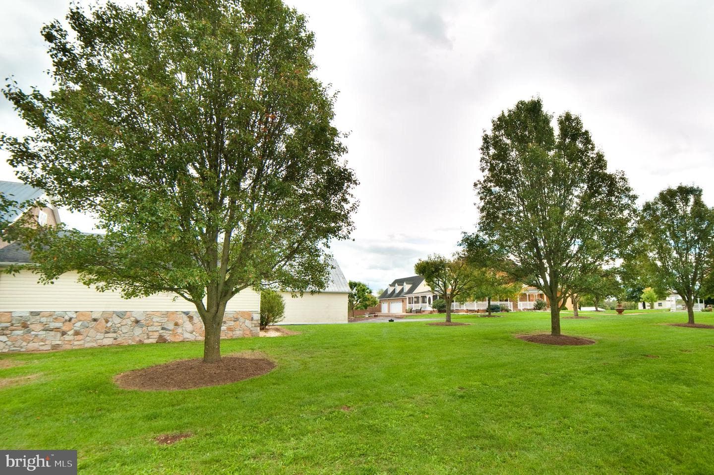 590 Carlyle Road photo 58